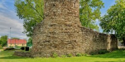 Ruine der Wasserburg Ruppendorf - Mai 2025