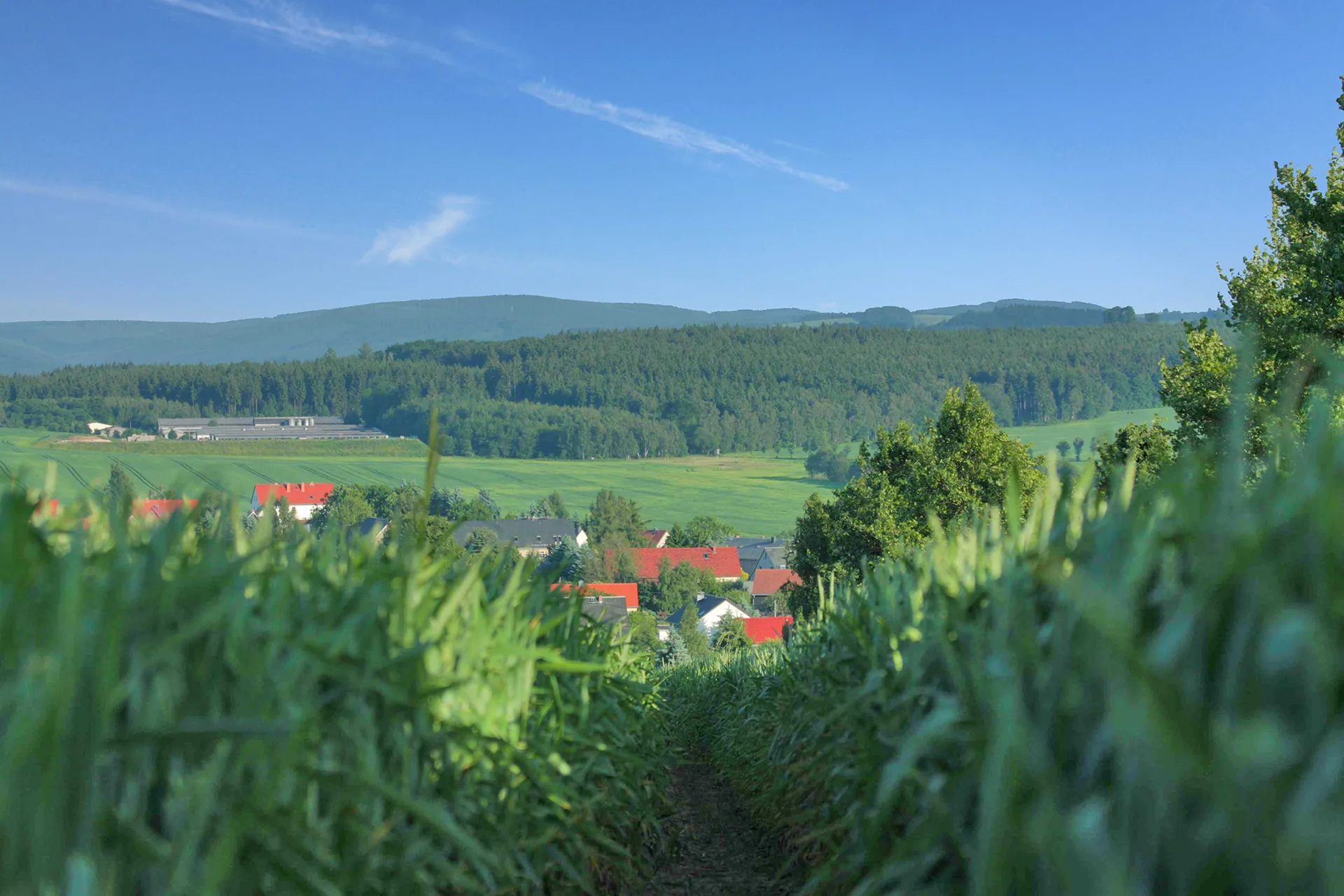 Blick auf Ruppendorf