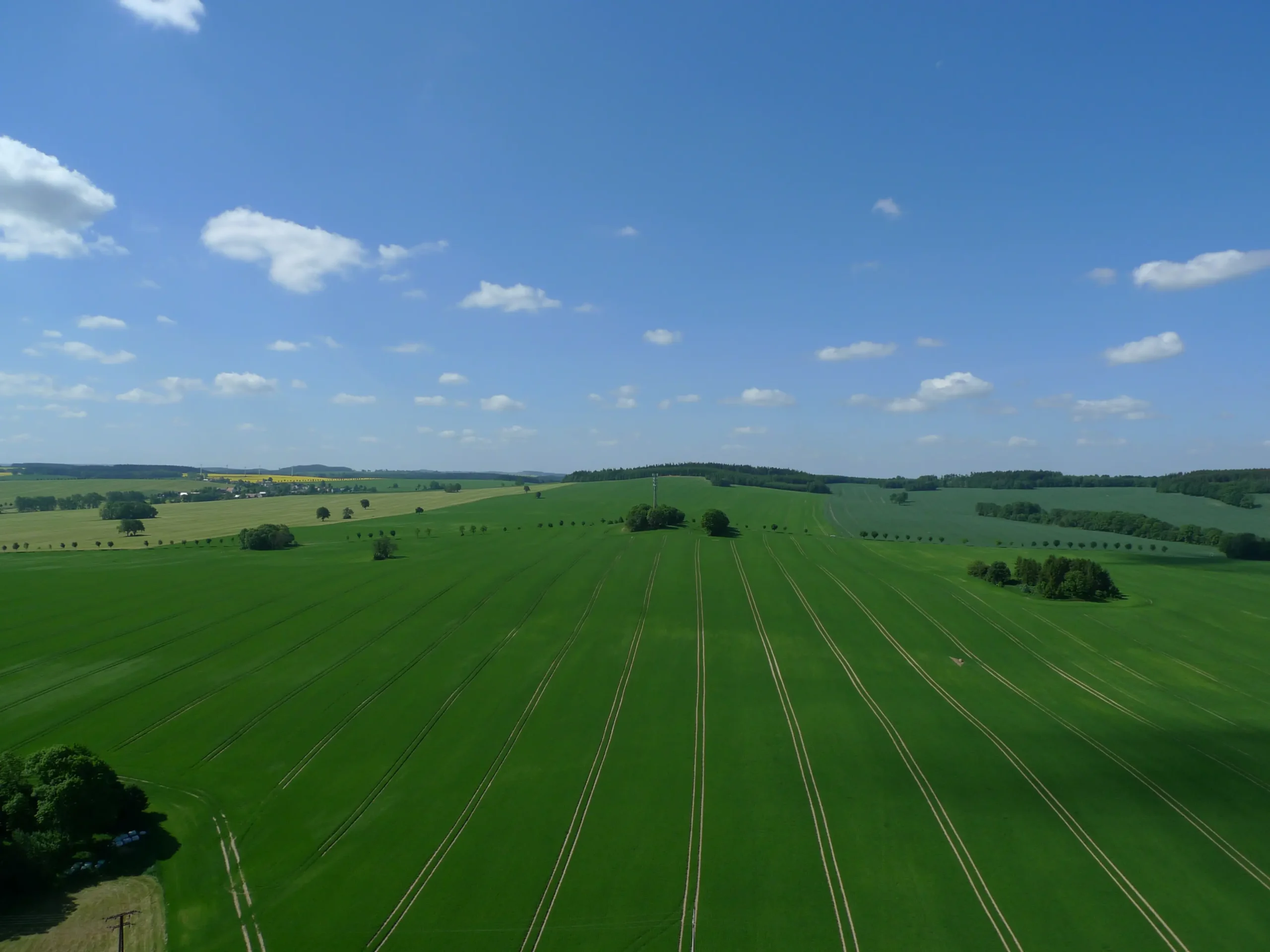 Blick über die Flur Ruppendorf Richtung Bauernbusch – Osterzgebirge