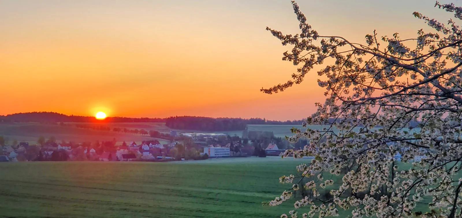 Frühling in Ruppendorf - Blick vom Steinberg mit blühenden Kirchen in den Sonnenaufgang