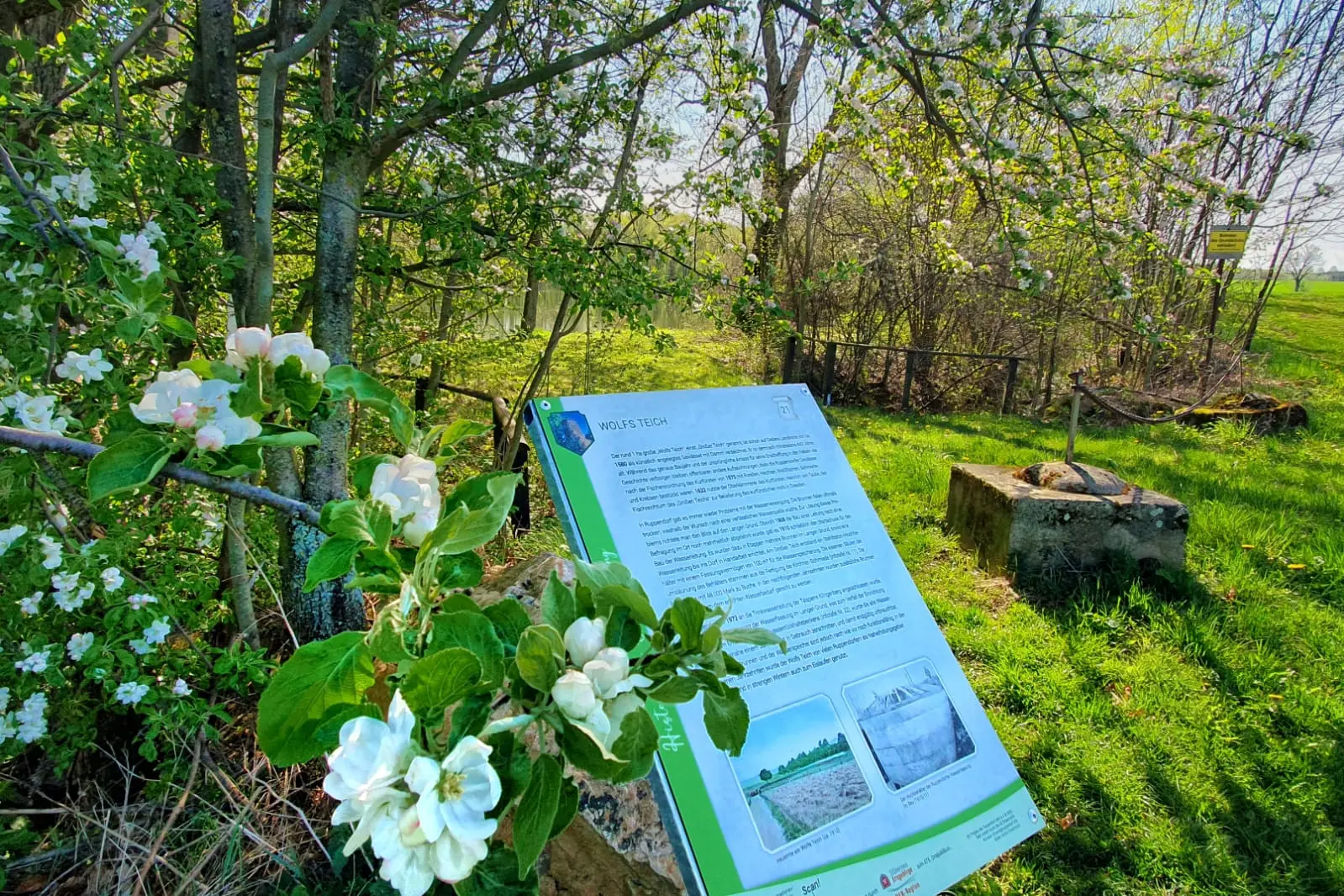 Historischer Rundwanderweg - Station Wolfs Teich.