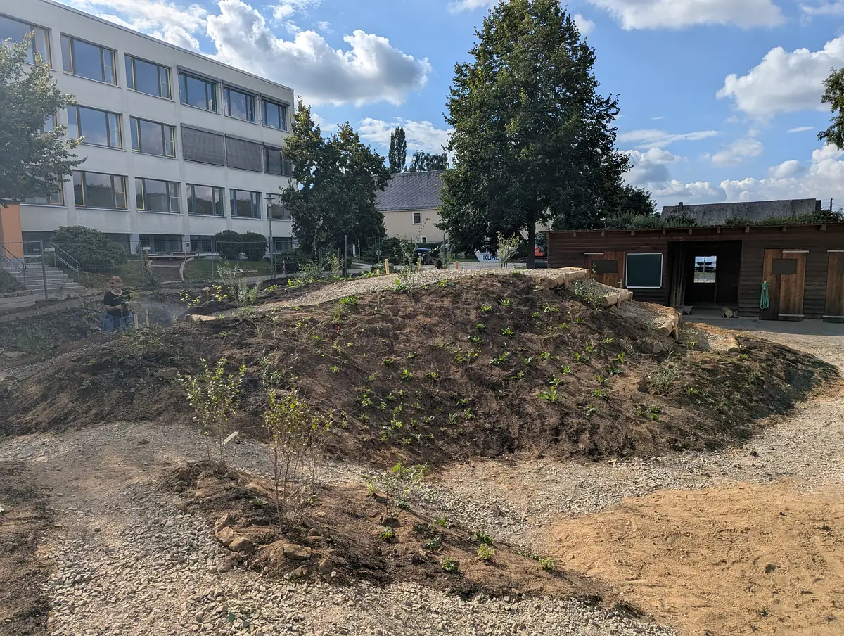 Der fertig modellierte Hügel mit neu gepflanzten Bäumen